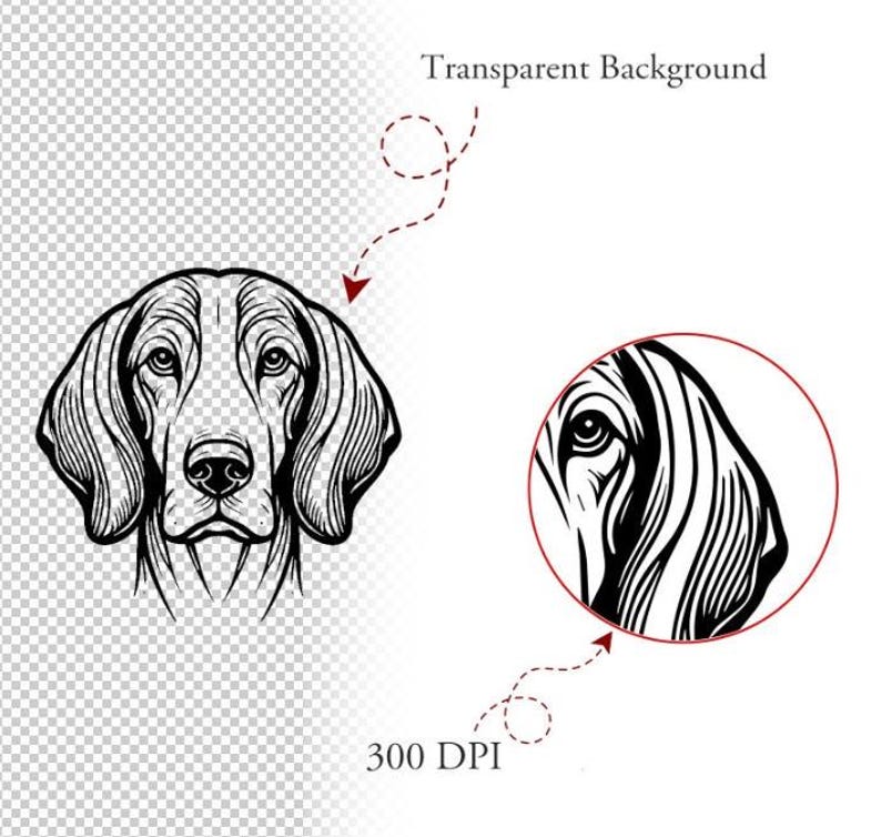 May include: Black and white line art illustration of a dog's head, featuring detailed shading and a transparent background. The image includes a close-up detail and text that reads "Transparent Background" and "300 DPI".