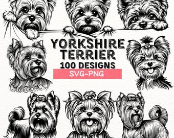 May include: A set of 100 black and white illustrations of Yorkshire Terriers in various poses. The illustrations are in a vintage style and feature detailed line work. The text "Yorkshire Terrier 100 Designs SVG-PNG" is displayed in the center of the image.