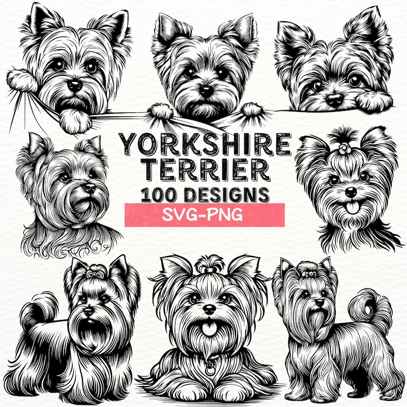 Yorkie Svg File Cute Clip Art Yorkie - Etsy