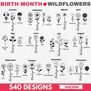 Paquete SVG de flores silvestres del mes de nacimiento / 540 diseños de arte lineal floral / Archivos de corte de flores de nacimiento para Cricut y Silhouette / Descarga PNG SVG