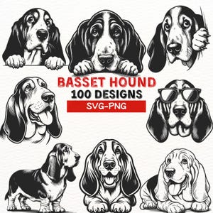 Ensemble SVG pour Basset Hound | Clipart chien adorable pour Cricut | Fichiers PNG Basset Hound | Pack design chiot pour sublimation | Ensemble d'art numérique