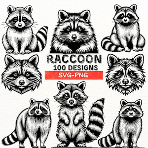 Waschbär SVG Bundle, niedliche Waschbär Clipart, Waschbär Kopf PNG, Waldtier digitale Schnittdateien, Waschbär Silhouette, Wildtier Art Printables