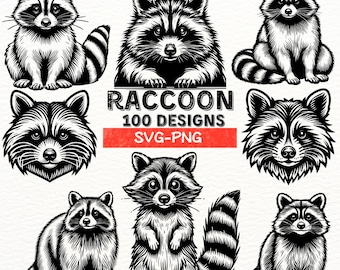 Raccoon SVG Bundle, Cute Raccoon Clipart, Raccoon Head PNG, Woodland Animal Digital Cut Files, Raccoon Silhouette, Wildlife Art Printables