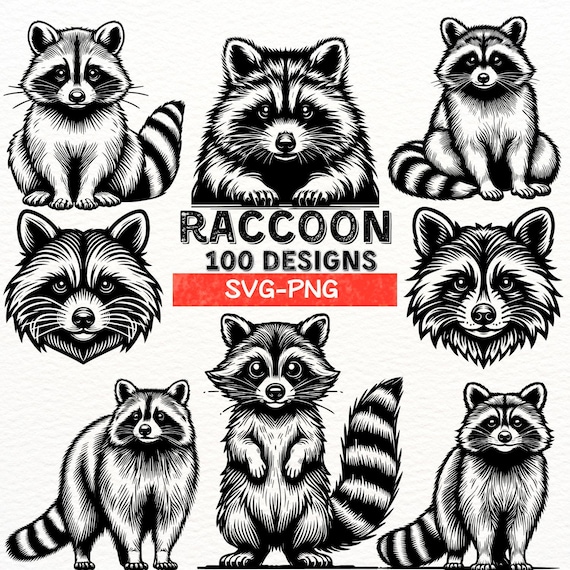 Raccoon SVG Bundle, Cute Raccoon Clipart, Raccoon Head PNG, Woodland Animal Digital Cut Files, Raccoon Silhouette, Wildlife Art Printables