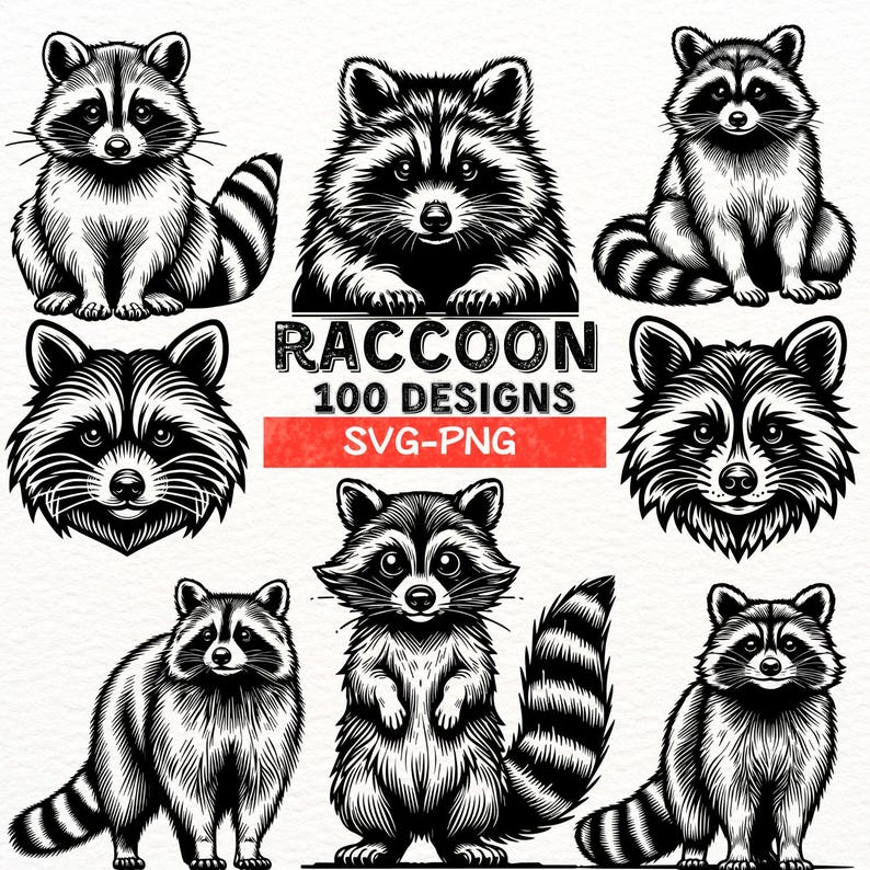 May include: A set of 100 black and white raccoon illustrations in various poses. The illustrations are in a line art style and are perfect for crafting projects, scrapbooking, and digital design.  Raccoon 100 Designs SVG-PNG