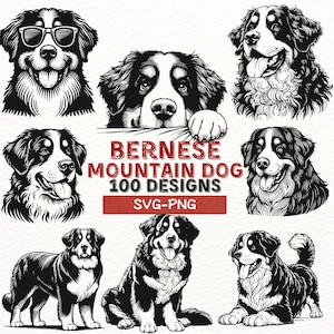 Berner Sennenhund SVG-Bundle, 100 Berner Sennenhund Designs, Hund Clipart, Haustierliebhaber SVG, PNG-Dateien für Cricut, Silhouette
