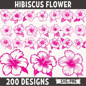 Hibiskus Blume SVG-Bundle, 200 tropische Blumenmuster, Hibiskus PNG Clipart, hawaiianische Blume Schnittdateien, Cricut Sublimation Vektorkunst