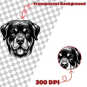 500 Dog Breeds Laser Engraving Files Bundle With 2300 Dog Head SVG and ...