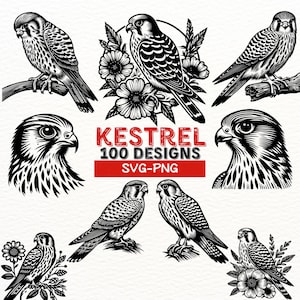 Kestrel SVG-Designs | Raubvogel Clipart Bundle für Sublimation | Kestrel Silhouetten PNG für Cricut & DIY Handwerk