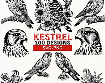 Designs SVG Crécerelle | Lot de cliparts oiseaux de proie pour sublimation | Silhouettes de crécerelles PNG pour Cricut et travaux manuels