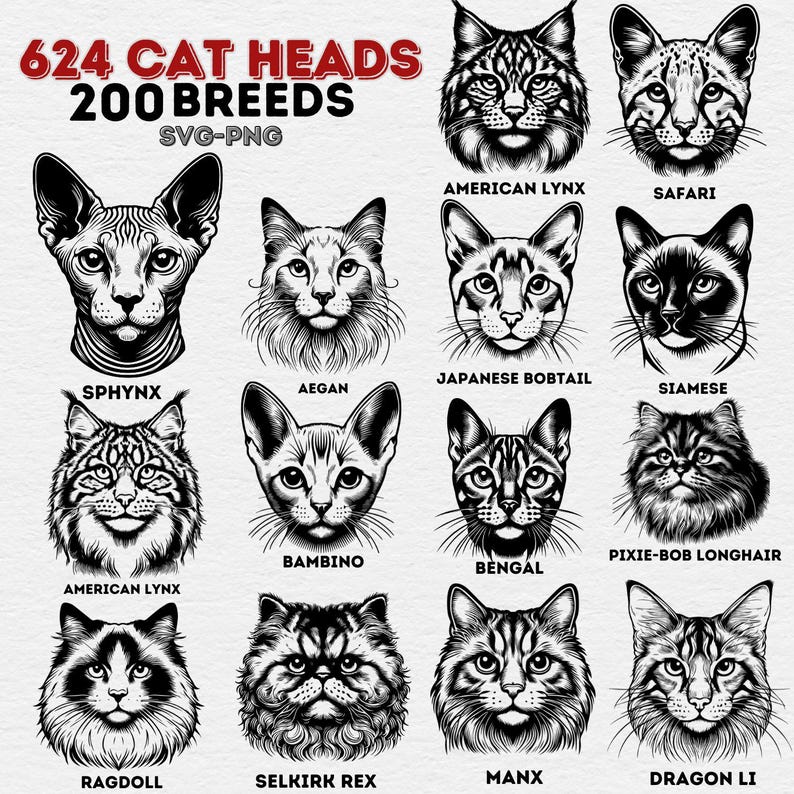 May include: A digital download of 624 black and white cat head illustrations, featuring 200 different cat breeds. The image shows a variety of cat breeds, including the American Lynx, Sphinx, Siamese, and Bengal.