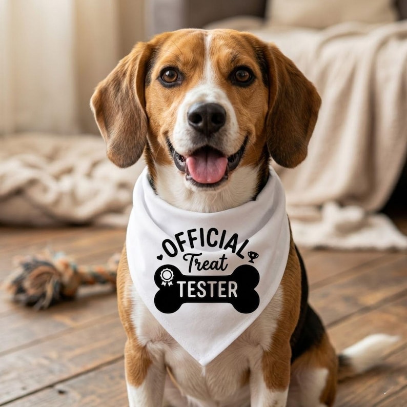 May include: A happy beagle dog wearing a white bandana with the text "OFFICIAL TREAT TESTER" in black. The dog has brown and white fur and is sitting on a wooden floor.