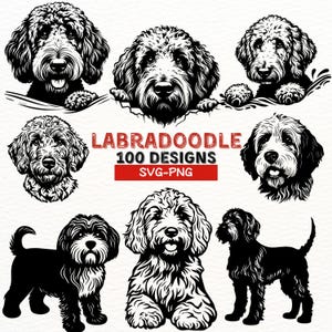 Labradoodle SVG PNG-bundel - 100 schattige labradoodle digitale ontwerpen voor Cricut & Silhouette, hondenliefhebber clipart, instant download