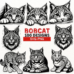 Bobcat SVG PNG Designs, Wild Cat Vector Clipart, Bobcat Face and Body Illustrations, Printable Bobcat Graphics for Cricut, Silhouette