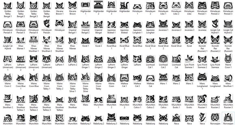 May include: A black and white illustration chart of different cat breeds. The chart includes the names of each breed, such as Golden Tabby, Himalayan Persian, and Maine Coon.