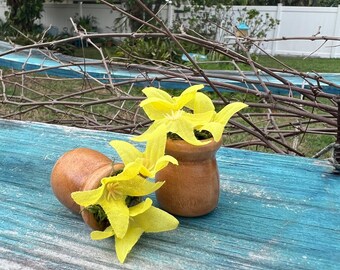 Model Horse Performance Flower Pots - Yellow & Oak