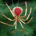 see more listings in the Christmas Beaded Spiders section