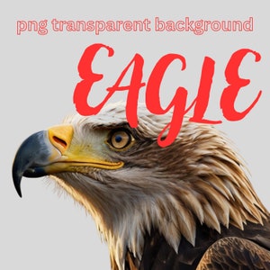Eagle PNG Transparent Background 300 DPI, High-Quality Digital Download, Bird Clipart for Crafts & Design