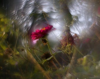 KMZ Helios 44M f/2 Petzval Modification Lens Dreamy Swirly Bokeh M42 MOUNT