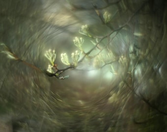 Petzval Modification  Helios 44 f/2 58mm  Lens Dreamy Swirly Bokeh SONY E MOUNT