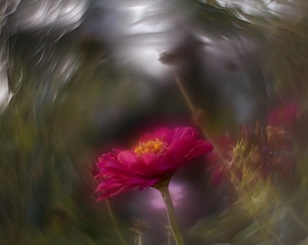 KMZ  Helios 44M f/2 Lens Petzval Modification Dreamy Swirly Bokeh M42 MOUNT