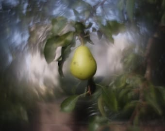 HELIOS 44M f/2 Lens Petzval Modification Dreamy Swirly Bokeh M42