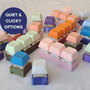 May include: A variety of colorful mechanical keyboard keycaps, including blue, green, orange, pink, and purple. The keycaps are arranged in a variety of patterns and designs. The text "Quiet & Clicky Options" is visible in the image.