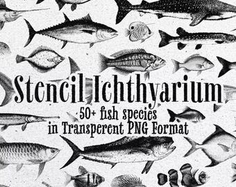 Paquete de ilustraciones de peces vintage: 50 imágenes PNG marinas grabadas para tatuajes, carteles y diseño científico.