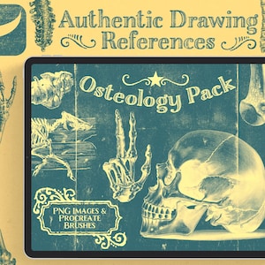 Op de afbeelding: Een digitale illustratie van een anatomiepakket met een schedel, handbeenderen en een wervelkolom. De afbeelding is in vintage stijl met een teal achtergrond en gele tekst. De tekst luidt "Osteology Pack" en "PNG Images & Procreate Brushes".