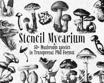 Stencil Mycarium – Oltre 50 clipart di funghi in formato PNG / illustrazioni di funghi vintage, grafica di funghi botanici