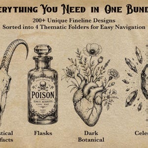 Puede incluir: Una colecci&oacute;n digital titulada Everything You Need In One Bundle con 200+ Unique Fineline Designs. La imagen muestra cuatro ilustraciones en tinta negra: un cr&aacute;neo de cabra, una botella de veneno, un coraz&oacute;n con flores y cristales.