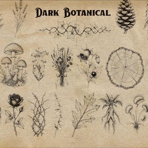 Puede incluir: Una colecci&oacute;n de ilustraciones bot&aacute;nicas en tinta negra sobre un fondo texturizado color canela, con el texto "DARK BOTANICAL" en la parte superior. Los dibujos incluyen helechos, setas, una pi&ntilde;a, un toc&oacute;n, una rosa, hojas y un coraz&oacute;n.