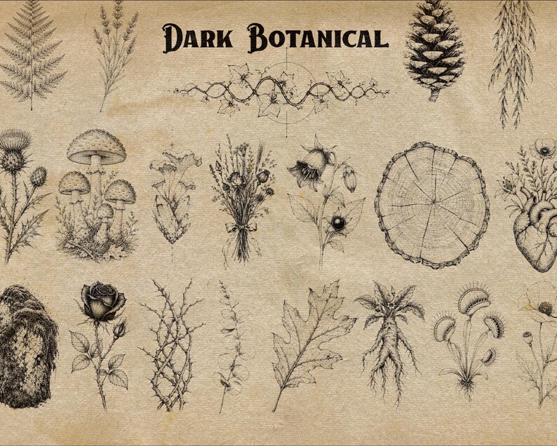 Puede incluir: Una colecci&oacute;n de ilustraciones bot&aacute;nicas en tinta negra sobre un fondo texturizado color canela, con el texto "DARK BOTANICAL" en la parte superior. Los dibujos incluyen helechos, setas, una pi&ntilde;a, un toc&oacute;n, una rosa, hojas y un coraz&oacute;n.