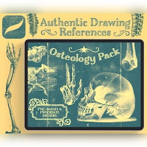 May include: A digital drawing reference pack featuring a yellow background with teal accents. The text reads Authentic Drawing References, Osteology Pack, and PNG Images & Procreate Brushes. Illustrations include a human skull, hand bones, and skeletal structures.