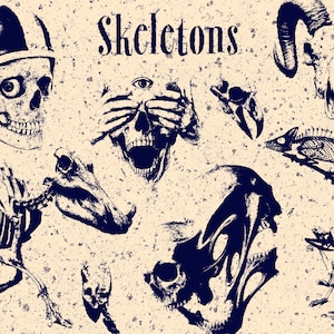May include: A graphic print on a speckled beige background featuring the text Skeletons in black. The illustration displays various dark blue skeletal elements including a human skull wearing a helmet, a ram skull, a chameleon, and other bones.