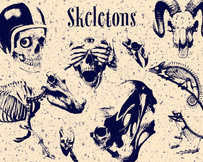 May include: A graphic print on a speckled beige background featuring the text Skeletons in black. The illustration displays various dark blue skeletal elements including a human skull wearing a helmet, a ram skull, a chameleon, and other bones.