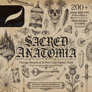 Puede incluir: Una colección digital de ilustraciones en tinta negra sobre fondo beige que incluye un cráneo, jaula, reloj de arena, llave, daga, corazón anatómico, telaraña y elementos botánicos con el texto SACRED ANATOMIA.