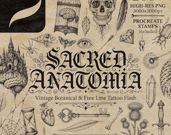Sellos de anatomía vintage para Procreate, diseños de tatuajes botánicos oscuros, paquete de imágenes PNG macabras (descarga digital)