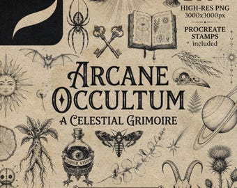 200+ Fineline Mystical Procreate Stamps, Celestial Tattoo Stencils, Dark Magic Botanical Brushes