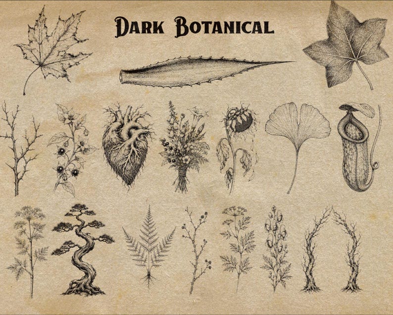 Puede incluir: Una colecci&oacute;n de ilustraciones bot&aacute;nicas y anat&oacute;micas en tinta negra sobre un fondo beige texturizado. El texto DARK BOTANICAL est&aacute; centrado en la parte superior. Las im&aacute;genes incluyen hojas, un coraz&oacute;n, flores, un bons&aacute;i y una planta jarra.