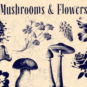 May include: A beige graphic print featuring the text "Mushrooms & Flowers" in a dark blue serif font. The design displays various botanical illustrations in dark blue, including several types of mushrooms, a rose, and other floral elements.