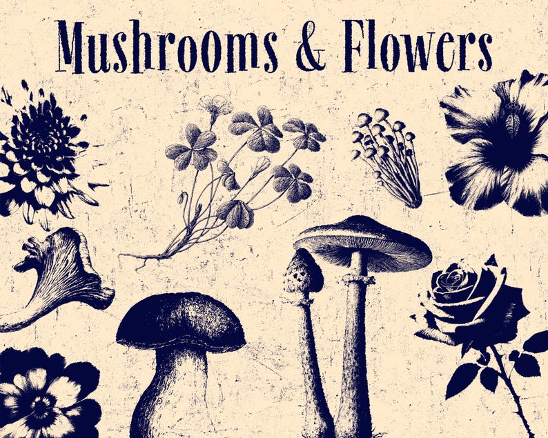 May include: A beige graphic print featuring the text "Mushrooms & Flowers" in a dark blue serif font. The design displays various botanical illustrations in dark blue, including several types of mushrooms, a rose, and other floral elements.