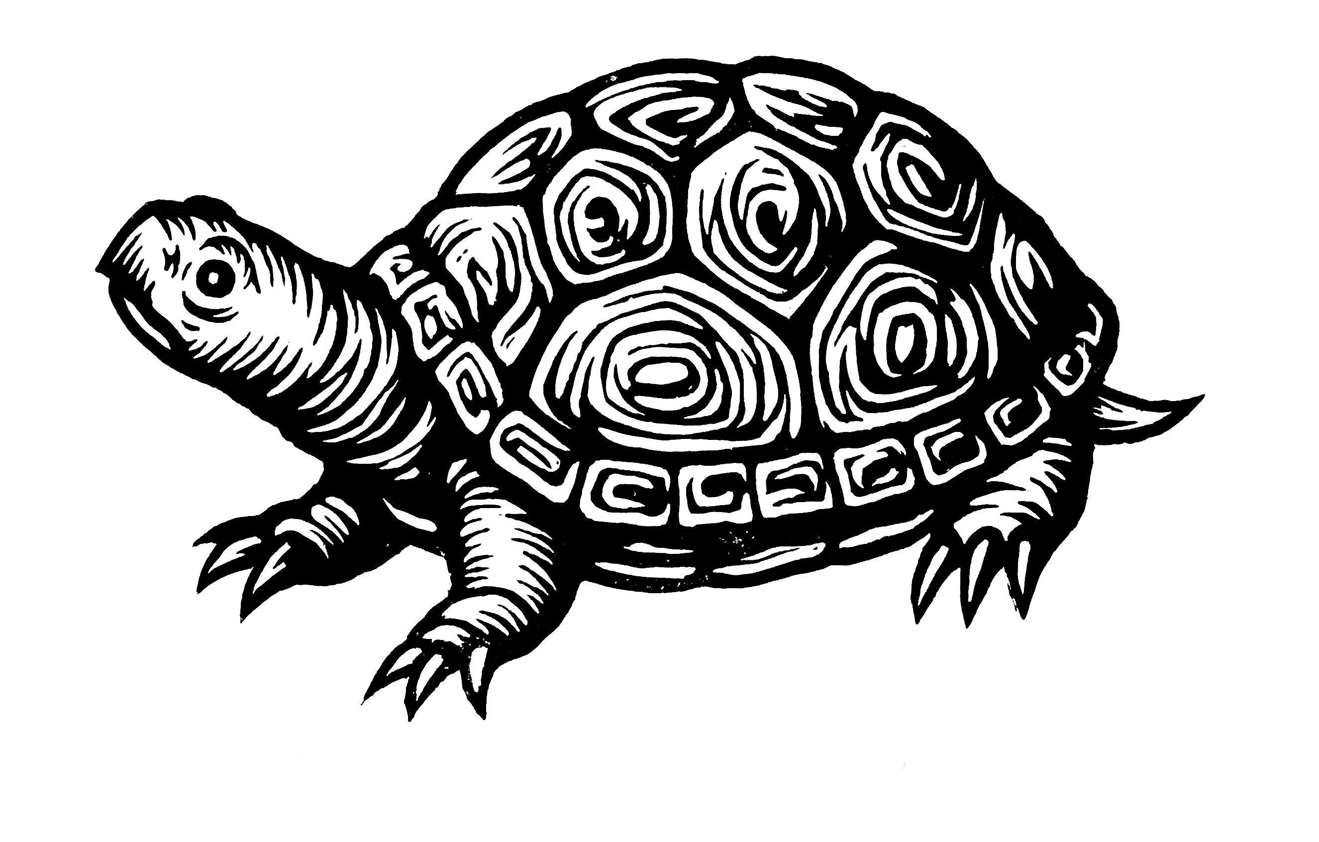 Snapping Turtle Linocut Art Print – Hand Carved Animal Wall Art (8.5x11 ...