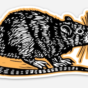 Rat Sticker - Waterproof Vinyl Die Cut Sticker - Sticker for Water Bottle - Sticker for Car - Sticker for Laptop - DC Rat Graphic Sticker