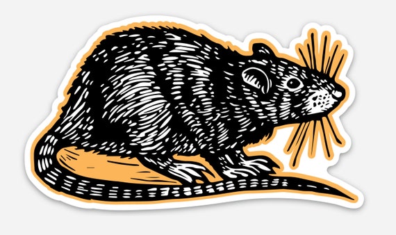 Rat Sticker - Waterproof Vinyl Die Cut Sticker - Sticker for Water Bottle - Sticker for Car - Sticker for Laptop - DC Rat Graphic Sticker
