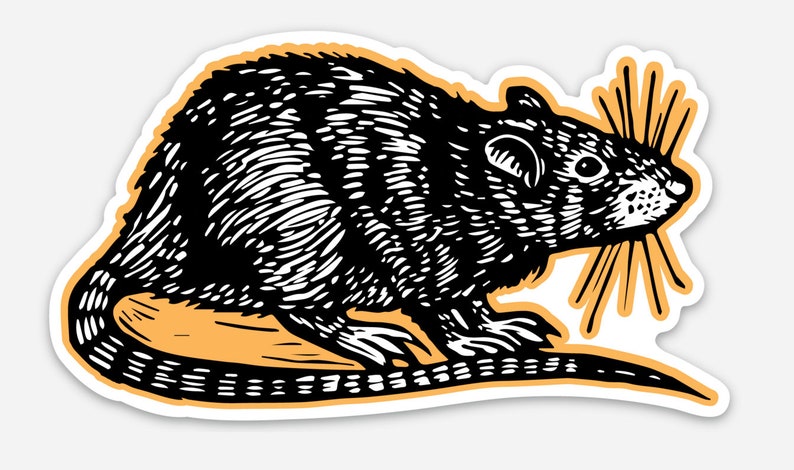 May include: Black and white line art illustration of a rat with a long tail and whiskers. The rat is sitting on a light brown surface.