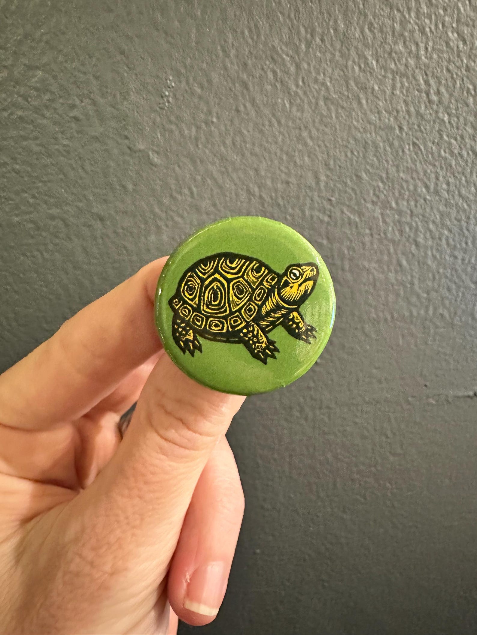 Turtle Shell Button Turtle Button - Button for Jacket, Buttons for Backpack, Pinback Button ...