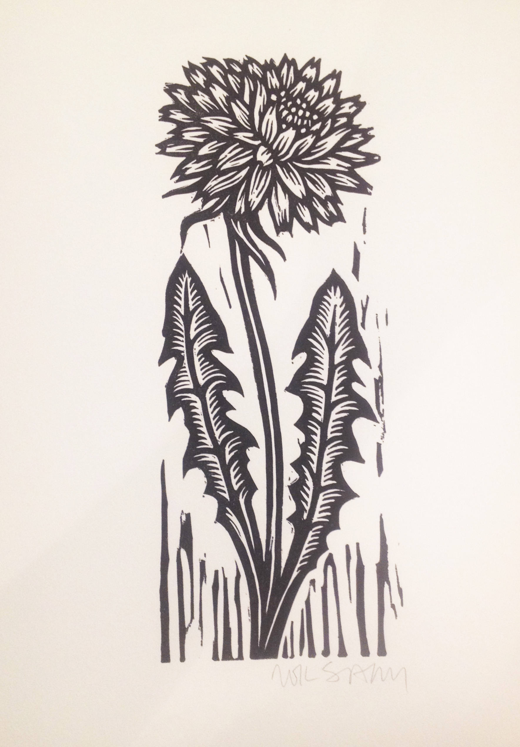 Dandelion Flower Linocut Art Print Black and White Art Etsy