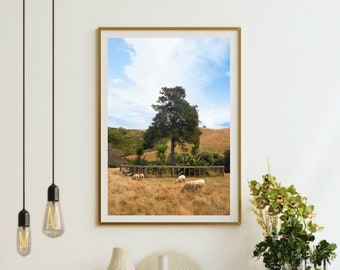 Schaf Farm Baum Druck | Neuseeland Reise Fotografie, Tiere, Bauernhaus, Landschaft, Natur Wand Kunst (Ungerahmt)