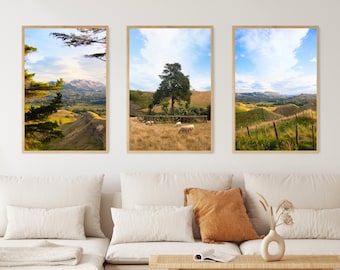 Bauernhof Drucke 3er Set | Neuseeland Reise Fotografie, Bauernhaus, Landschaft, Tiere, Wald, Baum, Natur Home Wand Kunst Dekor (ungerahmt)